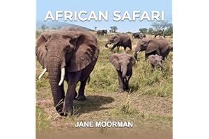 African Safari