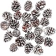 Cooraby 24 Pieces Christmas Pine Cones Ornament Natural PineCones with String Pendant Crafts for Gift Tag Christmas Tree Party Hanging Decoration (Snow)