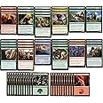 Elite Red Green Dinosaur Enrage Deck - Modern Legal - Custom Built - Magic The Gathering - MTG - 60 Card