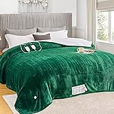 greenoak Heated Blanket Electric King Size 100"X90" Dual Control, Heating Blanket with 10 Levels 1/2/4/6/8 Hours Auto-Off Overheat Protection, Soft Sherpa Warm, ETL Certified Mint Green
