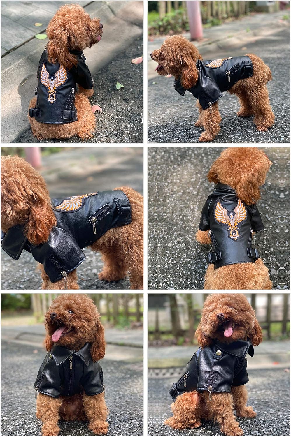 lovelonglong Cool Dog Leather Jacket, Warm Coats Dogs Windproof Cold Weather Coats for Large Medium Small Dogs With Eagle Embroidery Black XS - Image 4