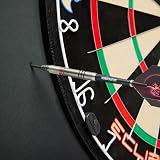Unicorn Dartboard Backboard Surround Striker EVA Protective Ring Blue view 3
