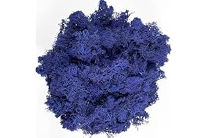Gusaloo Moss Preserved Moss Natural Fresh Green Moss for Craft Arts Floral Project Wall Decor Table Decor Wedding Centerpieces Garden Artificial Terrariums Decoration - Dark Blue 3.5OZ