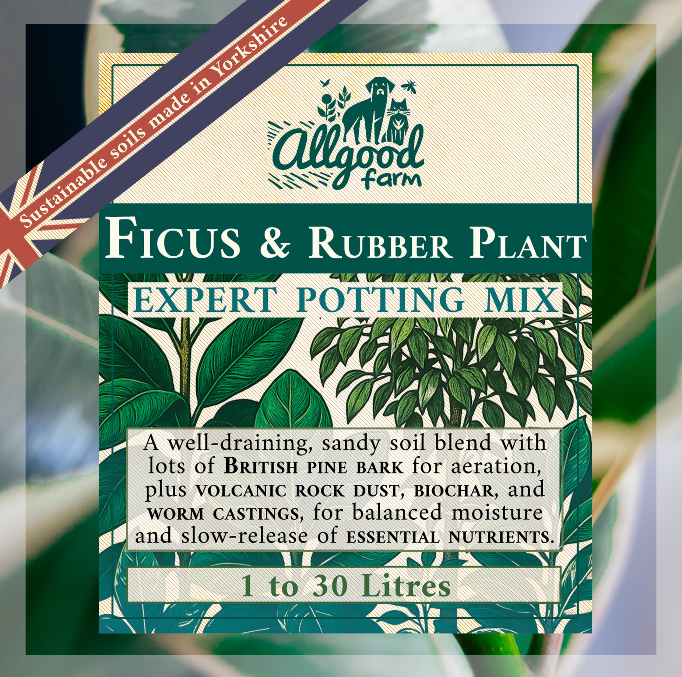 Allgood Farm Ficus & Rubber Plant Soil - Expert Potting Mix for Weeping Fig, Fiddle Leaf, Banyan Fig, Ficus Benjamina, Ficus Elastica (3 Litres)