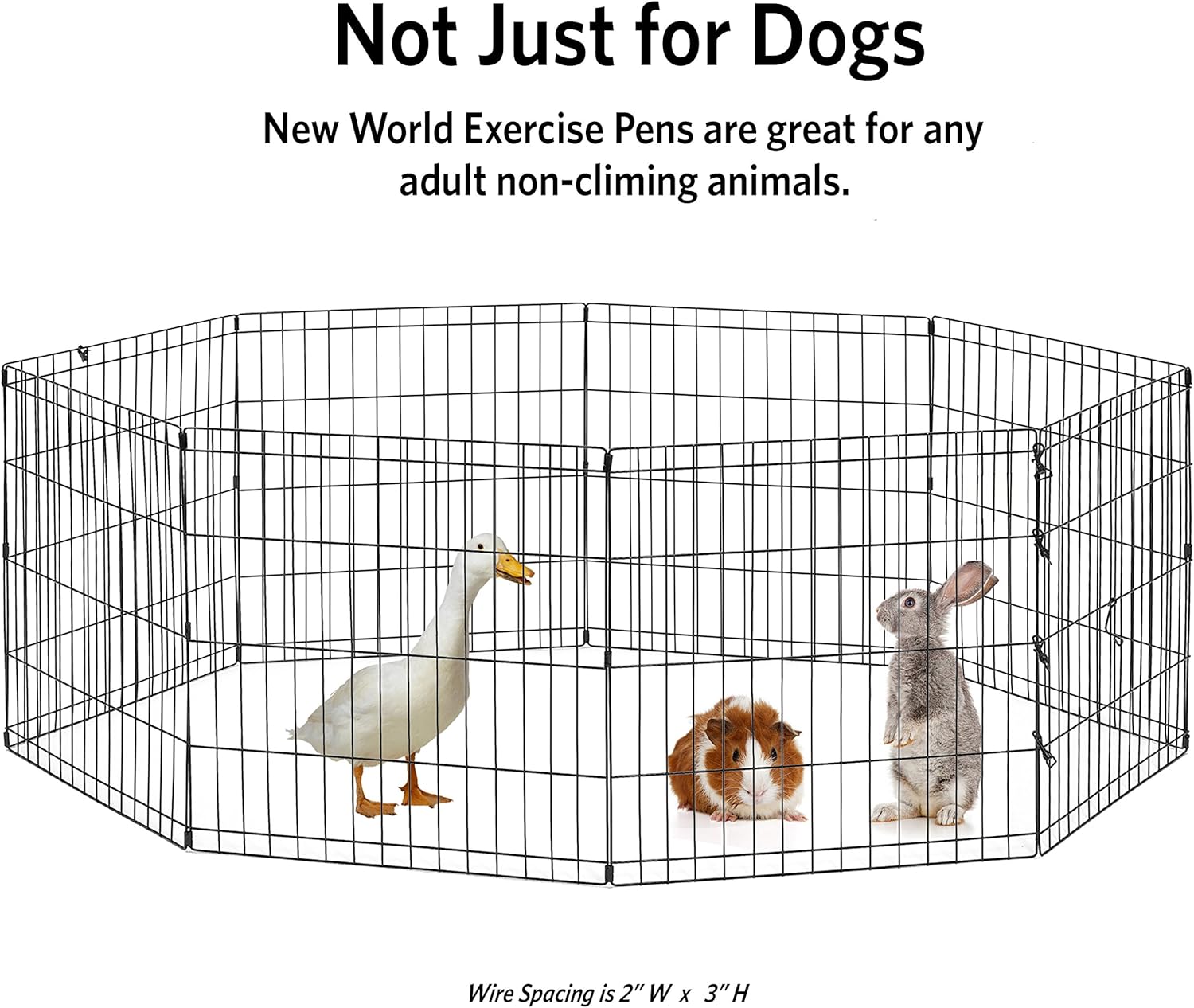 New World Pet Products B552-30 Foldable Exercise Pet Playpen, Black, Medium/24 Inch x 30 Inch : Pet Supplies