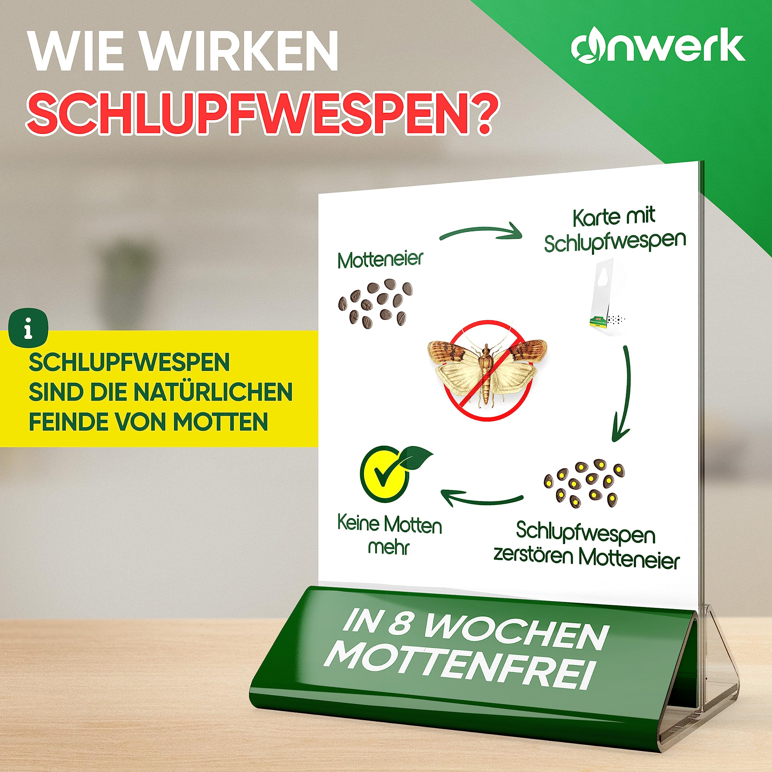 anwerk® Schlupfwespen gegen Lebensmittelmotten - 8 Karten (2 Karten à 4 Lieferungen) - Effektiv Lebensmittel Motten bekämpfen - Alternative zur Mottenfalle, Mottenspray, Pheromonfalle