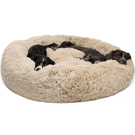 absolut dog bed