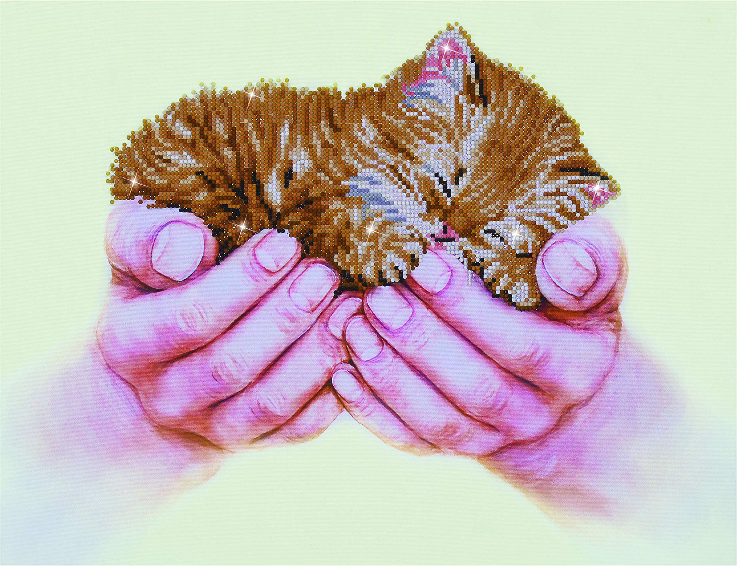 Diamond Dotz Painting Kit: Intermediate, DD7, Precious Kitten, 52 x 40 cm