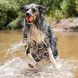 Chuckit Ultra Ball 7 cm Dog Toy One Piece view 3