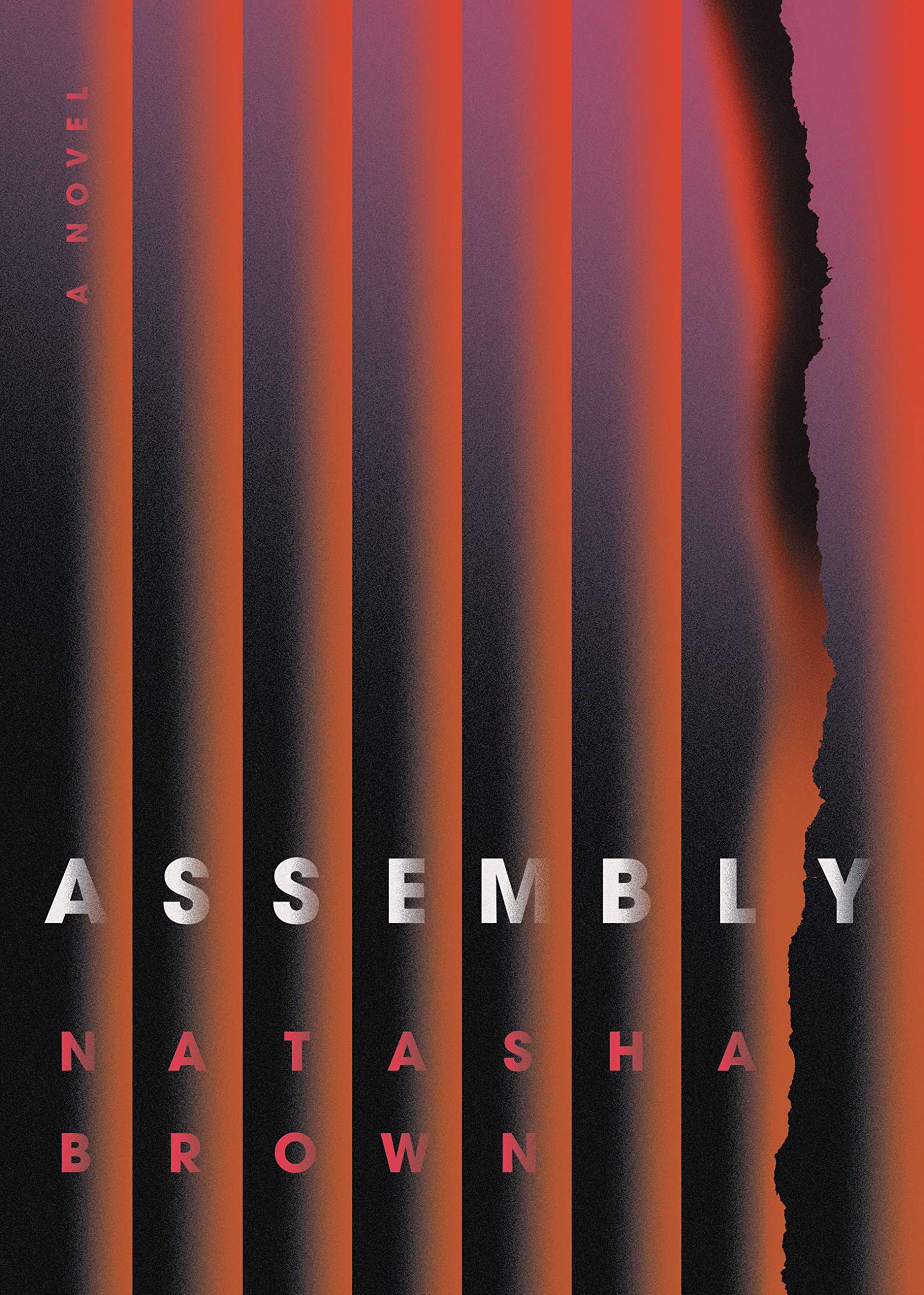 amazon com assembly 9780316268264 brown natasha books