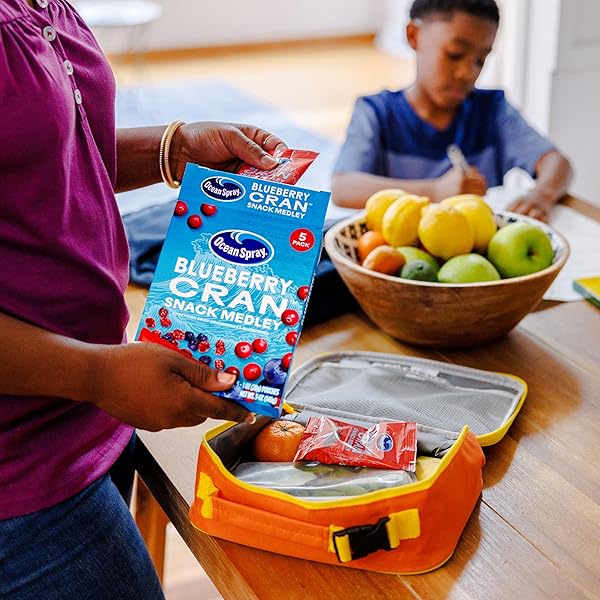 OCEAN SPRAY® BLUEBERRY CRAN™ SNACK MEDLEY, CRANBERRY AND BLUEBERRY DRIED FRUIT SNACK, 1 OZ POUCHES, 5 COUNT