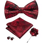 JEMYGINS Mens Paisley Bow Tie and Lapel Pin Necktie Pocket Square and Tie Clip with Sets for Business Casual 4PCS