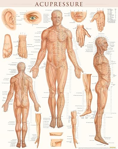 Download Acupressure PDF