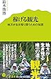 稼げる観光: 地方が生き残り潤うための知恵 (ポプラ新書)