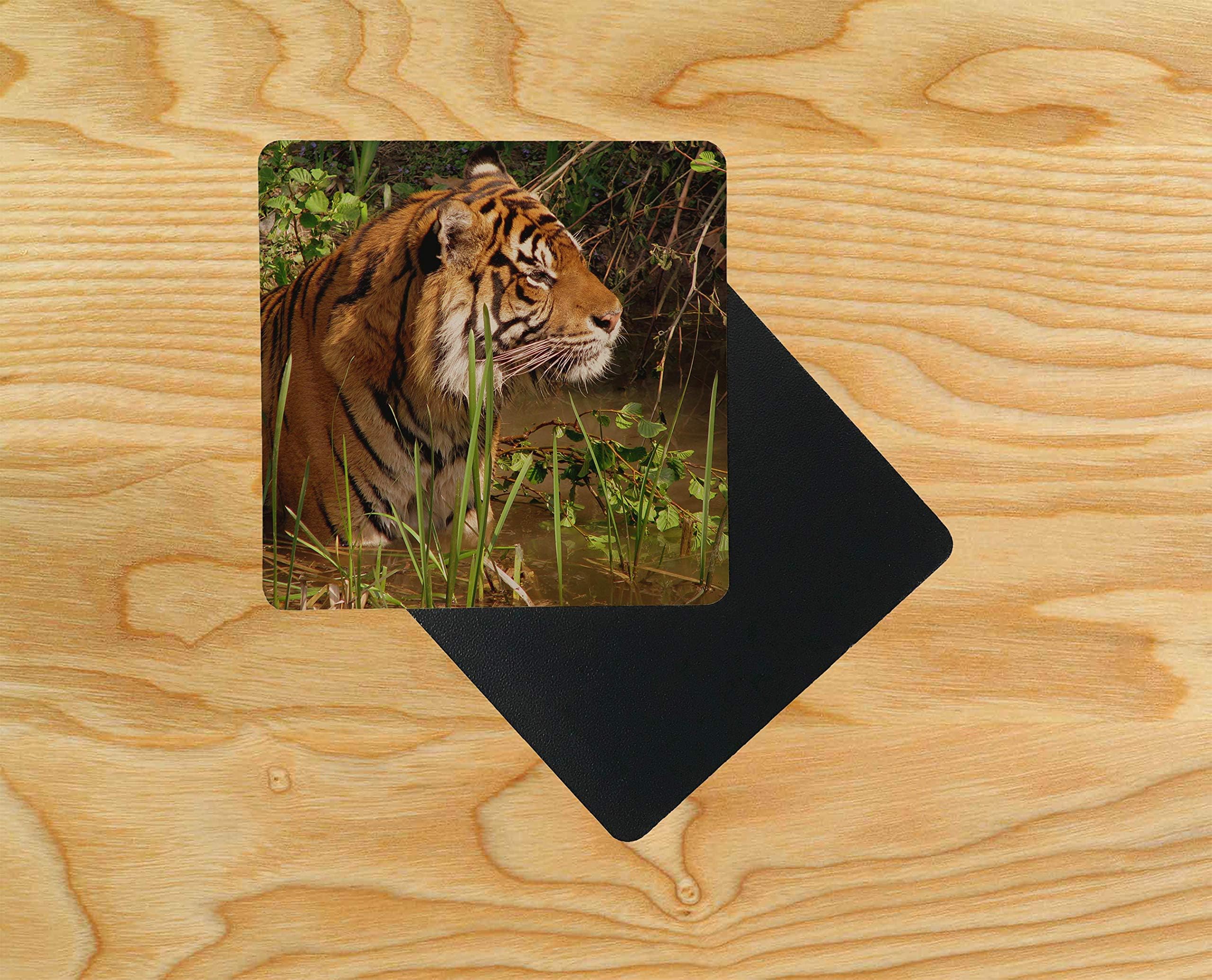 Tiger Staking The Prey in The River Wooden Table Drink Coaster 95 x 95mm (Pack of 12)