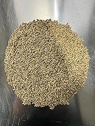 Rye Berries for Mushroom Spawn - Organic, Triple