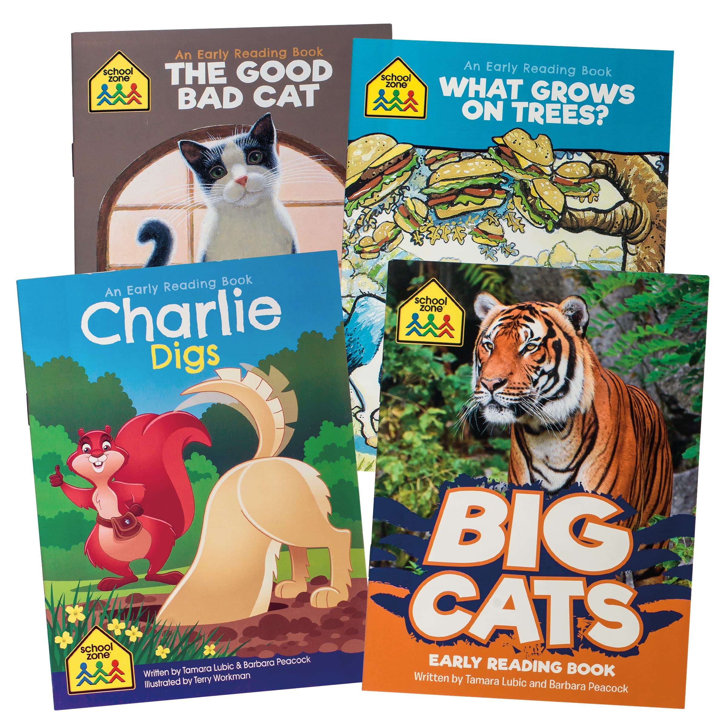 School Zone Full Learning Program for Preschool: Curriculum Set of Workbooks, Flash Cards, Early Reading, Educational Games, Write & Reuse, Alphabet, Numbers, Math, Colors, Shapes, Stickers, and More