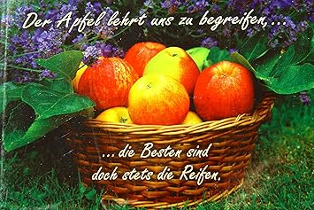 Karte Mit Umschlag Neutral Apfelkorbder Apfel Lehrt Uns Zu Begreifen Amazon De Burobedarf Schreibwaren