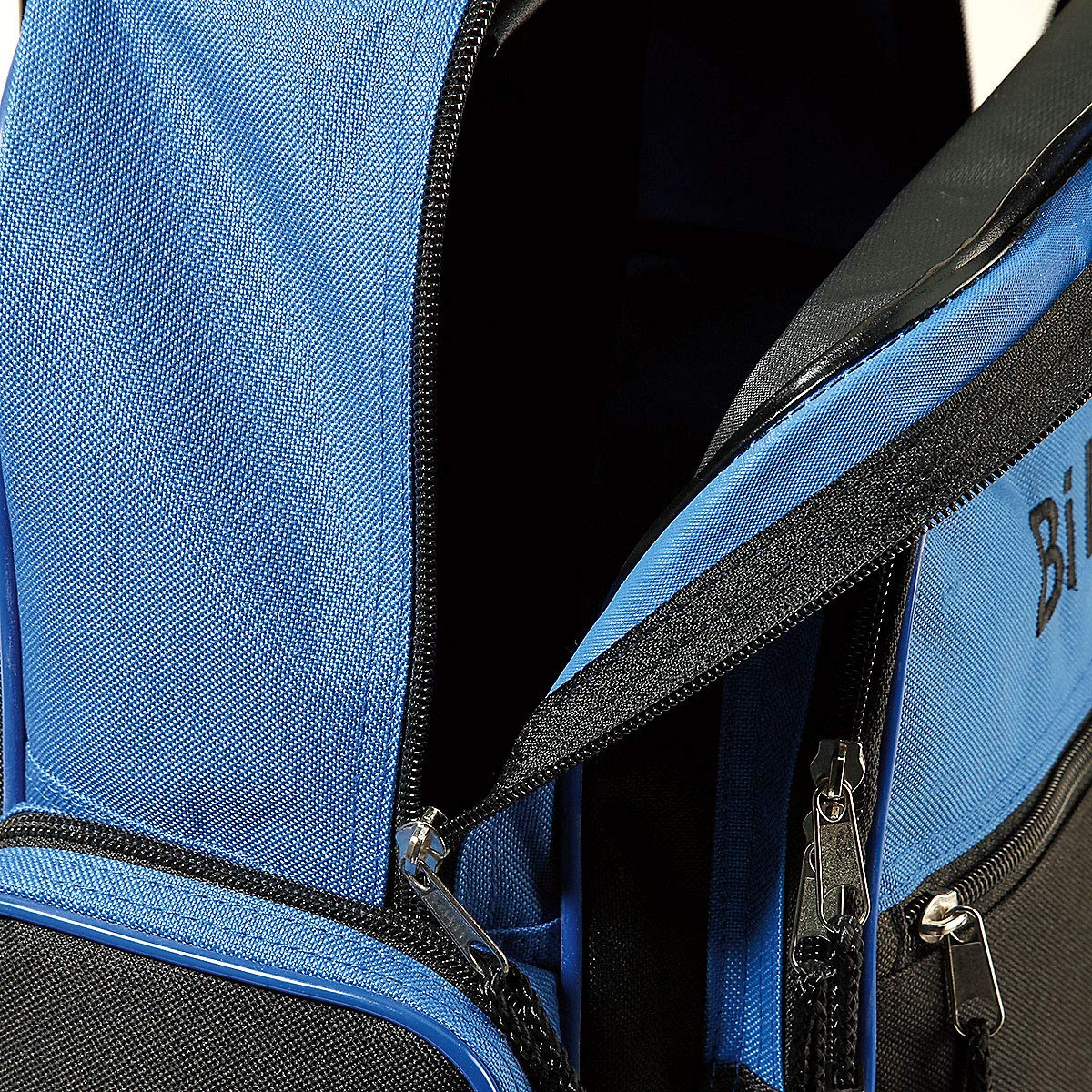 lillian vernon backpack