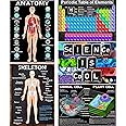 5 Science Educational Posters Set - Periodic Table, Cells, Anatomy, Skeleton Laminated 14x19.5