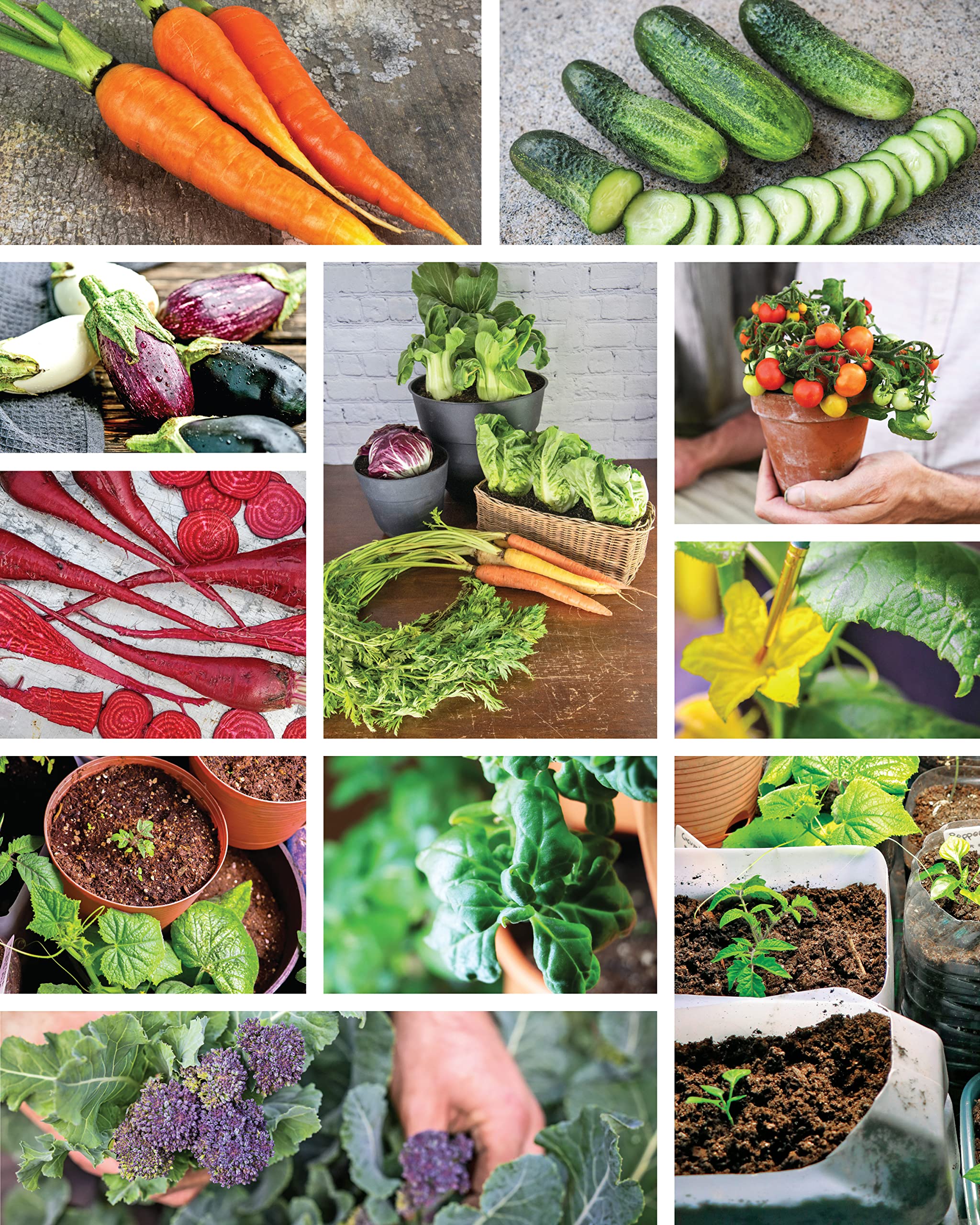How to Garden Indoors & Grow Your Own Food Year Round: Ultimate Guide to Vertical, Container, and Hydroponic Gardening (Creative Homeowner) Vegetables, Herbs, DIY Projects, Composting, Lights, & More
