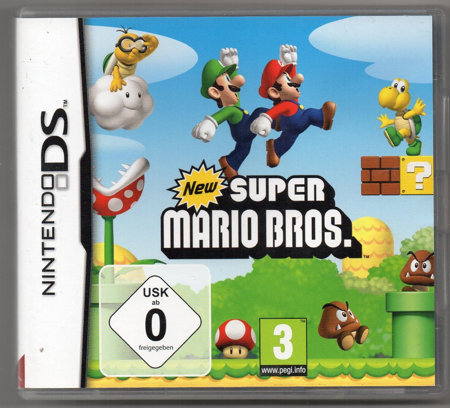super mario brothers nintendo ds