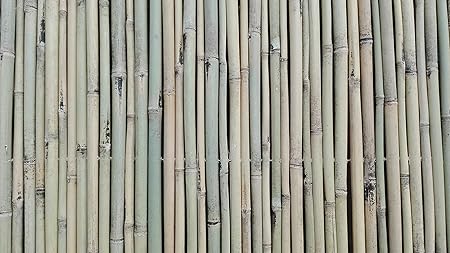 Amazon De Bambusmatte Sichtschutz Bambus Gartenzaun Windschutz Sichtschutzmatte 90 X 300 Schilfrohrmatte Weidenmatte Rindenmatte