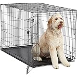 MidWest Homes for Pets Dog Crate