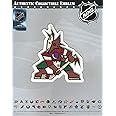 Arizona Coyotes Kachina Primary Team Logo Jersey Patch
