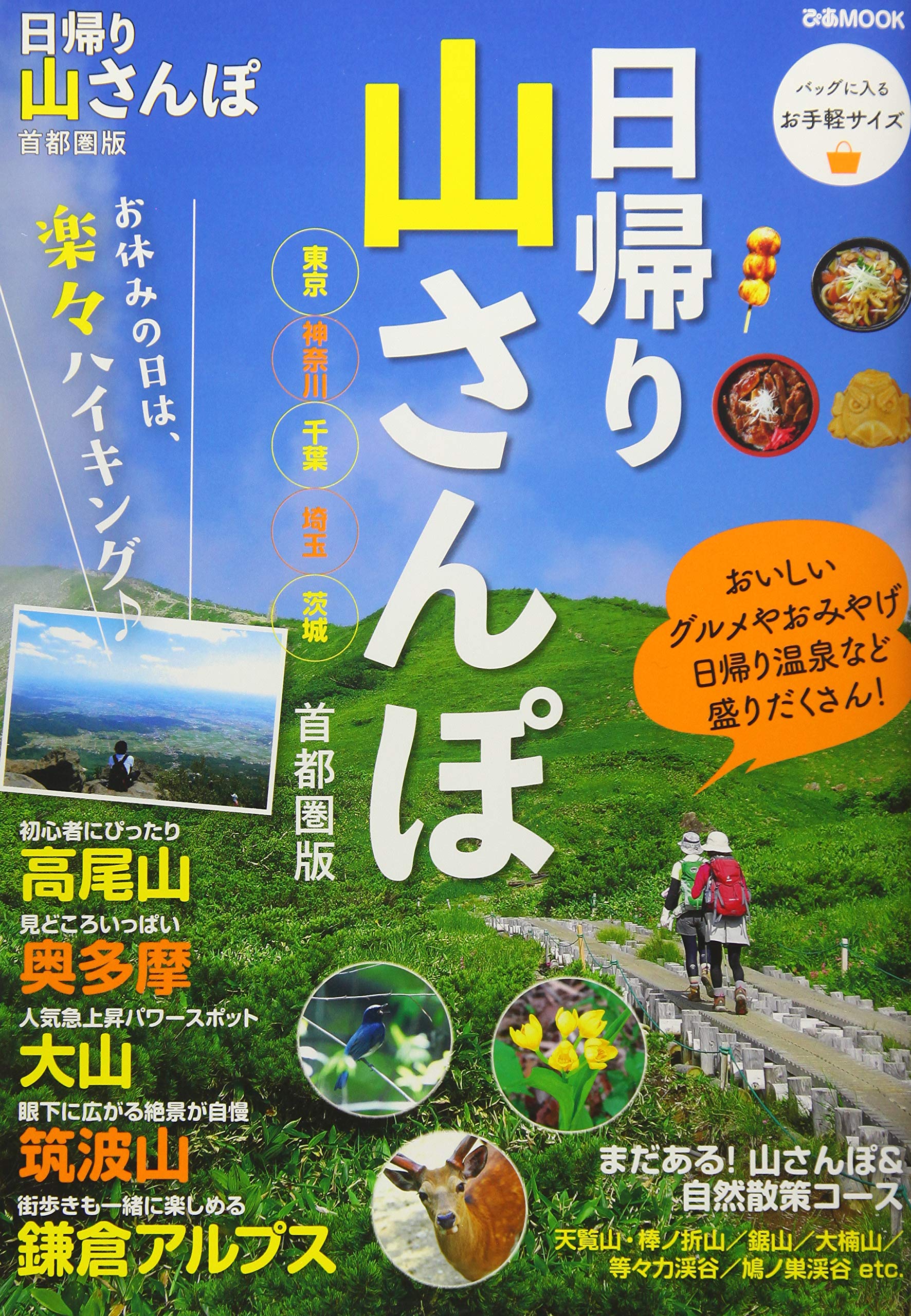 One Day Mountain Walk Metropolitan Edition Pia Mook Amazon Com Books