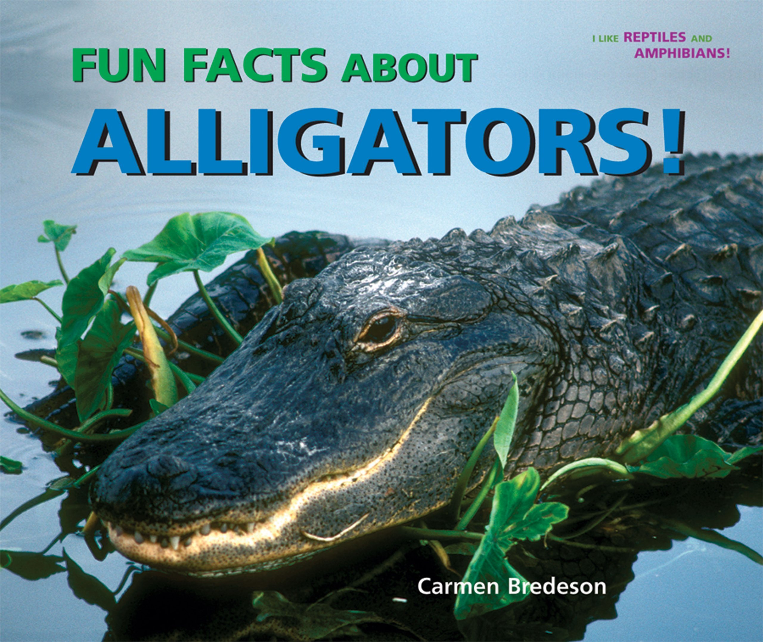 Fun Facts About Alligators I Like Reptiles And Amphibians Carmen Bredeson 9780766027862 Amazon Com Books