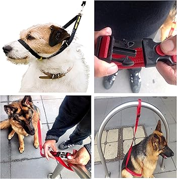 canny collar oder halti