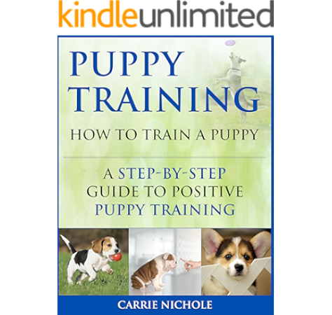 disobedient school for dogs