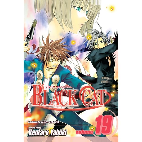 Amazon.com: Black Cat, Vol. 20: A Carefree Tomorrow eBook