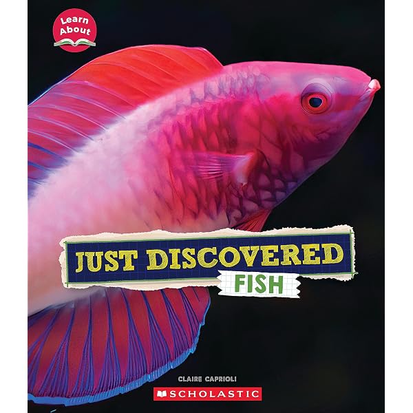 Just Discovered Fish (Learn About: Animals): Caprioli, Claire