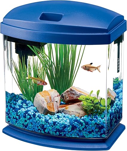 Pictures of people making fish aquariums in the past