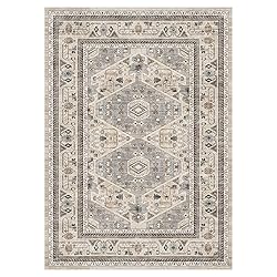 GENIMO 3x5 Area Rugs for Living Room, Machine
