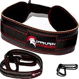 Weighted Weightlifting Dipping Belt 