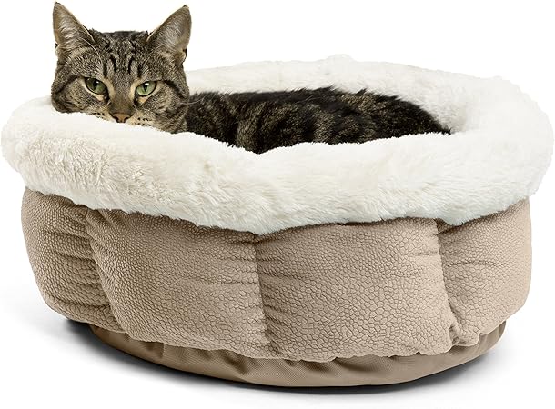 best friends by sheri cat bed