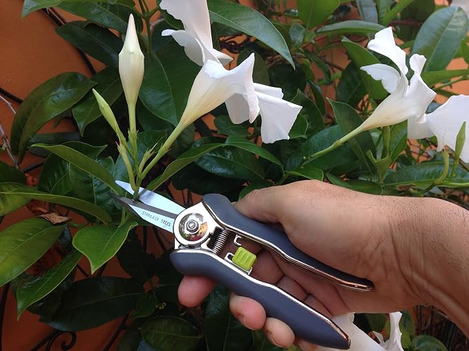 gardening tools list