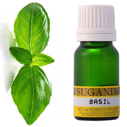 SUGANDHCO Basil Essential Oil (10 ml)