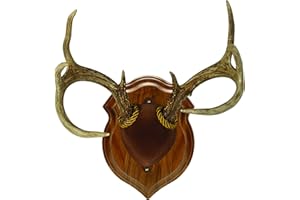 Walnut Hollow Country Deluxe Antler Display Mounting Kit in Solid Walnut for Mule Deer & Whitetail Deer (29628) 9.00" x 12.00"