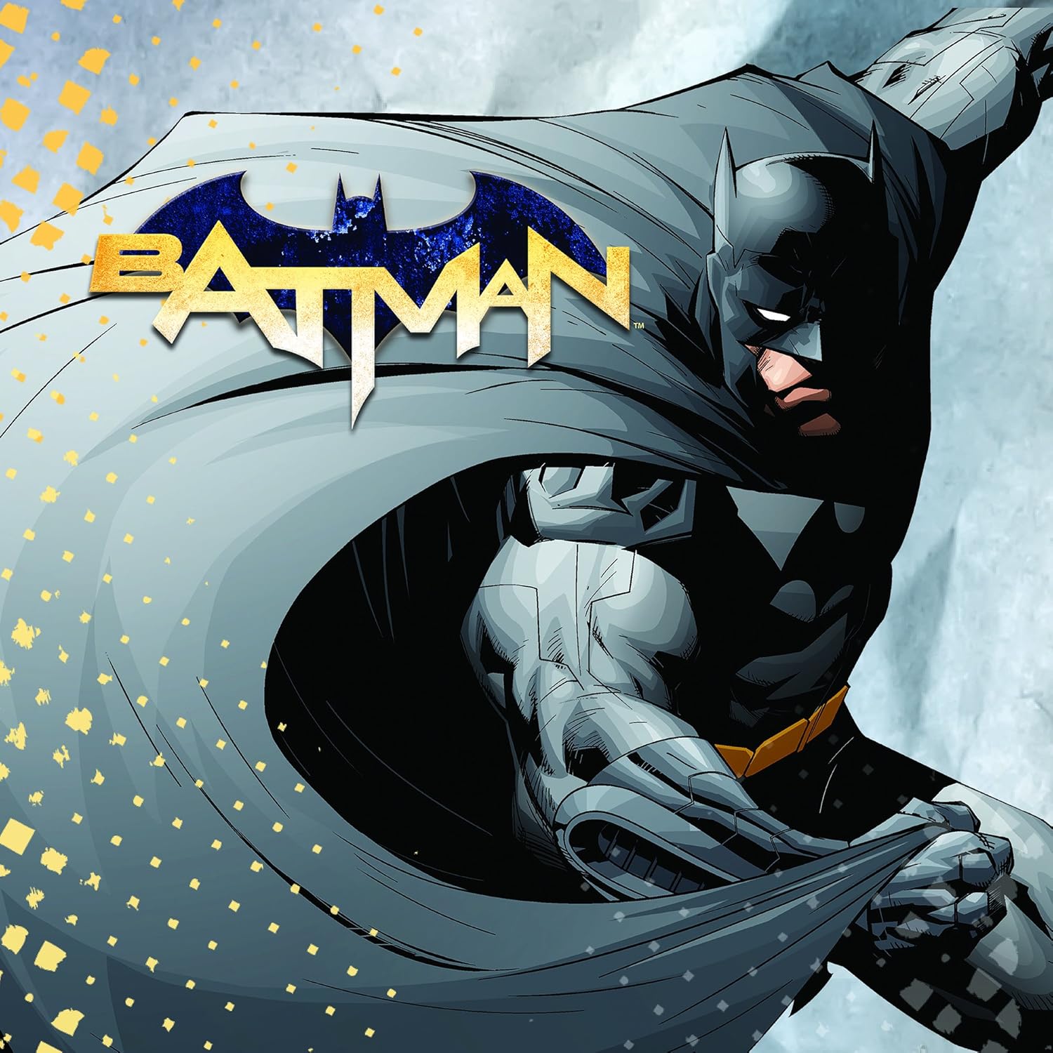DC Comics Batman Jewelry for Men and Boys, Stainless Steel Illustrated Dog Tag Pendant, 16" Ball Chain: Jewelry