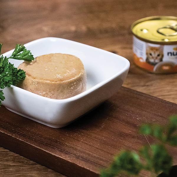 NULO FREESTYLE CAT & KITTEN WET PATE CANNED CAT FOOD, PREMIUM ALL NATURAL GRAIN-FREE, WITH 5 HIGH ANIMAL-BASED PROTEINS AND VITAMINS TO SUPPORT A HEALTHY IMMUNE SYSTEM AND LIFESTYLE