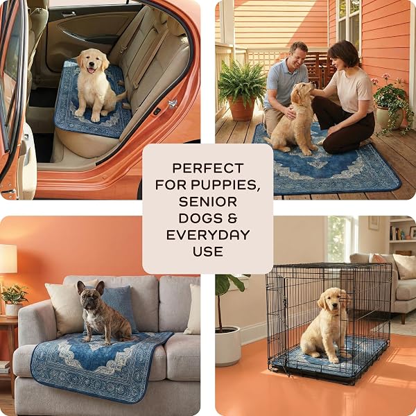 SUPER ABSORBENT WASHABLE PEE PADS FOR DOGS (2-PACK) – REUSABLE PUPPY TRAINING PADS, 100% WATERPROOF & LEAKPROOF DOG PEE PADS WITH NON-SLIP BACKING – DURABLE, QUICK-DRY PET PADS FOR CRATES & FLOORS