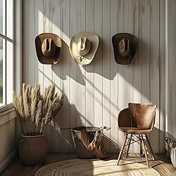Modern JP Adhesive Hat Hooks for Wall