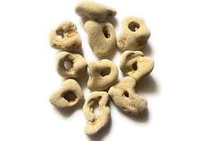 GENERIC Handpicked Protective Hag Stones - Set of 10 Loose Raw Sea Hagstones with Natural Holes for Stress Relief, Spiritual Healing, and Unique Decorations, medium up to 2" inch