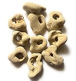 Handpicked Protective Hag Stones - Set of 10 Loose