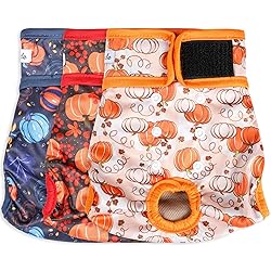 Female Dog Diapers - Premium Reusable Diapers for