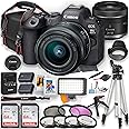 Canon EOS R6 Mark II Mirrorless Camera with RF 24-50mm f/4.5-6.3 IS STM Lens and LED Video Light + 128GB Memory + Camera Case + Extra Battery + Filters + Tripod & More (Renewed)